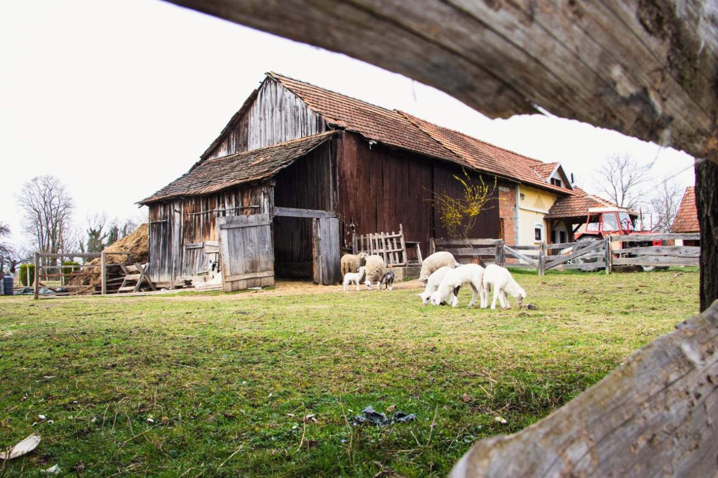 Country House Ivancan Molve Exterior foto