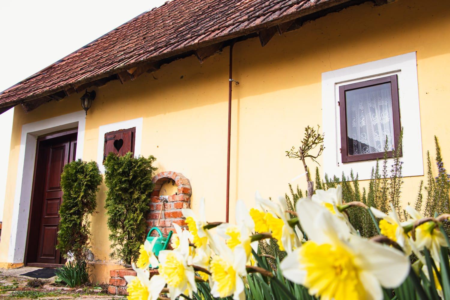 Country House Ivancan Molve Exterior foto